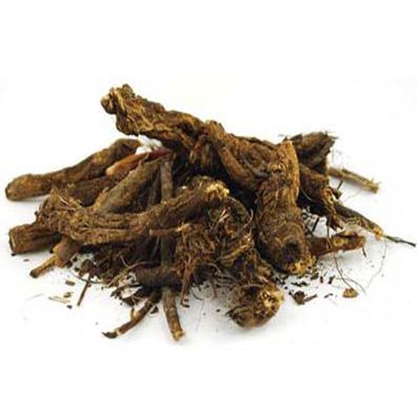 Good quality Instant Tea Powder -
 Lomatium – Puyer