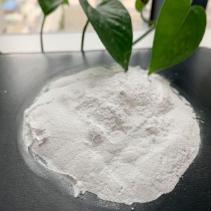 Dicalcium phosphate powder