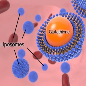 Glutationa lipossômica