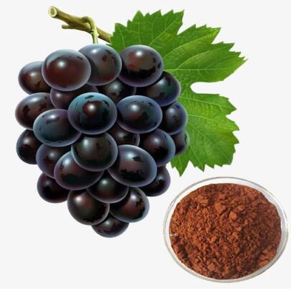 The most efficient antioxidant-grape seed extract
