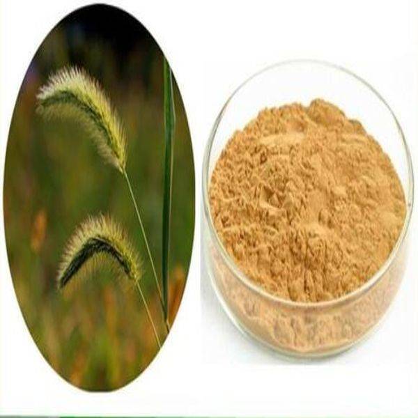 Natural herbs of great nutritional value — Horsetail extract