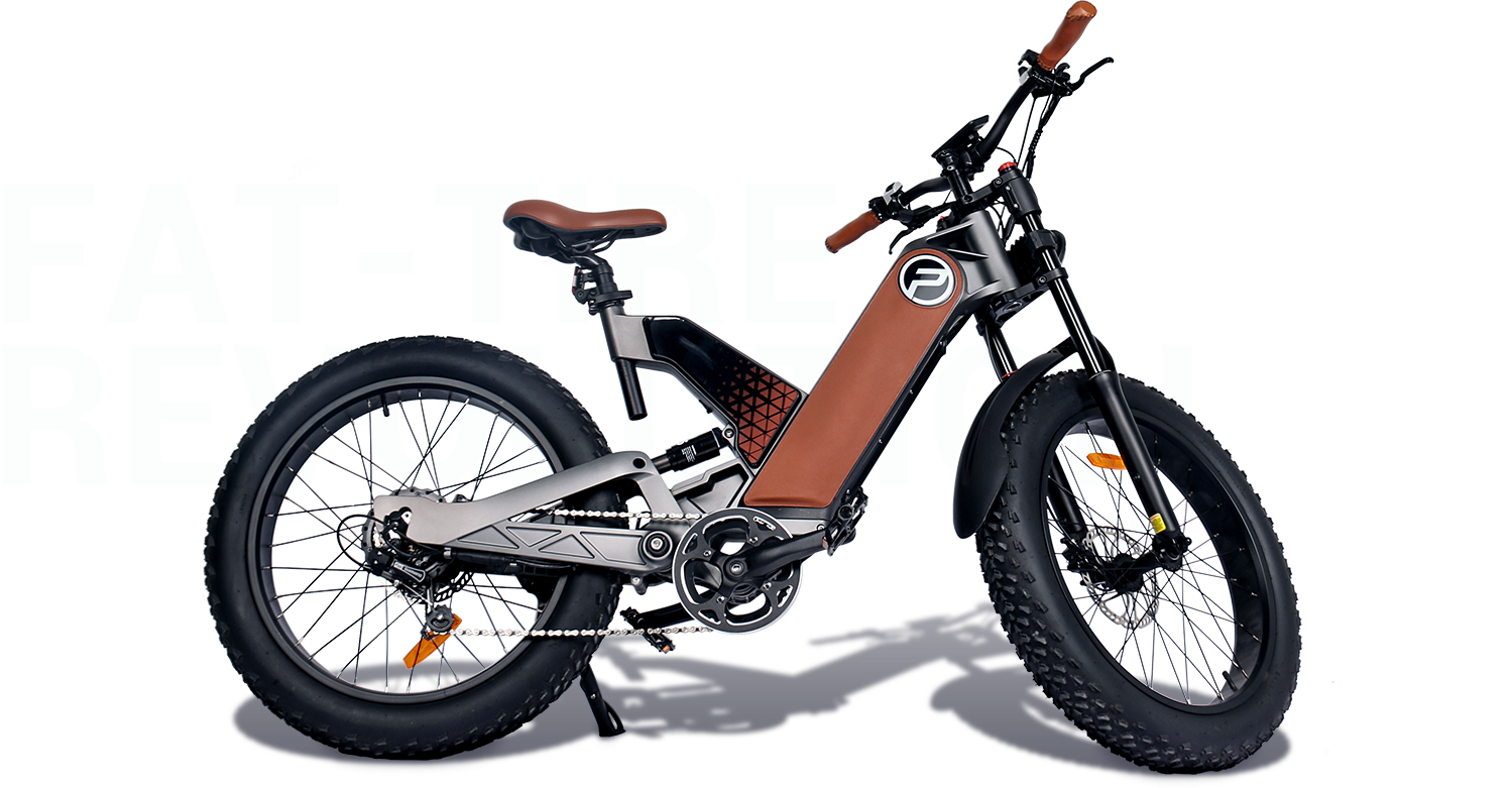 US Popular 24 Inch Fat Tire 750W 48V Powerful Off Road Electric Bike Featured Image