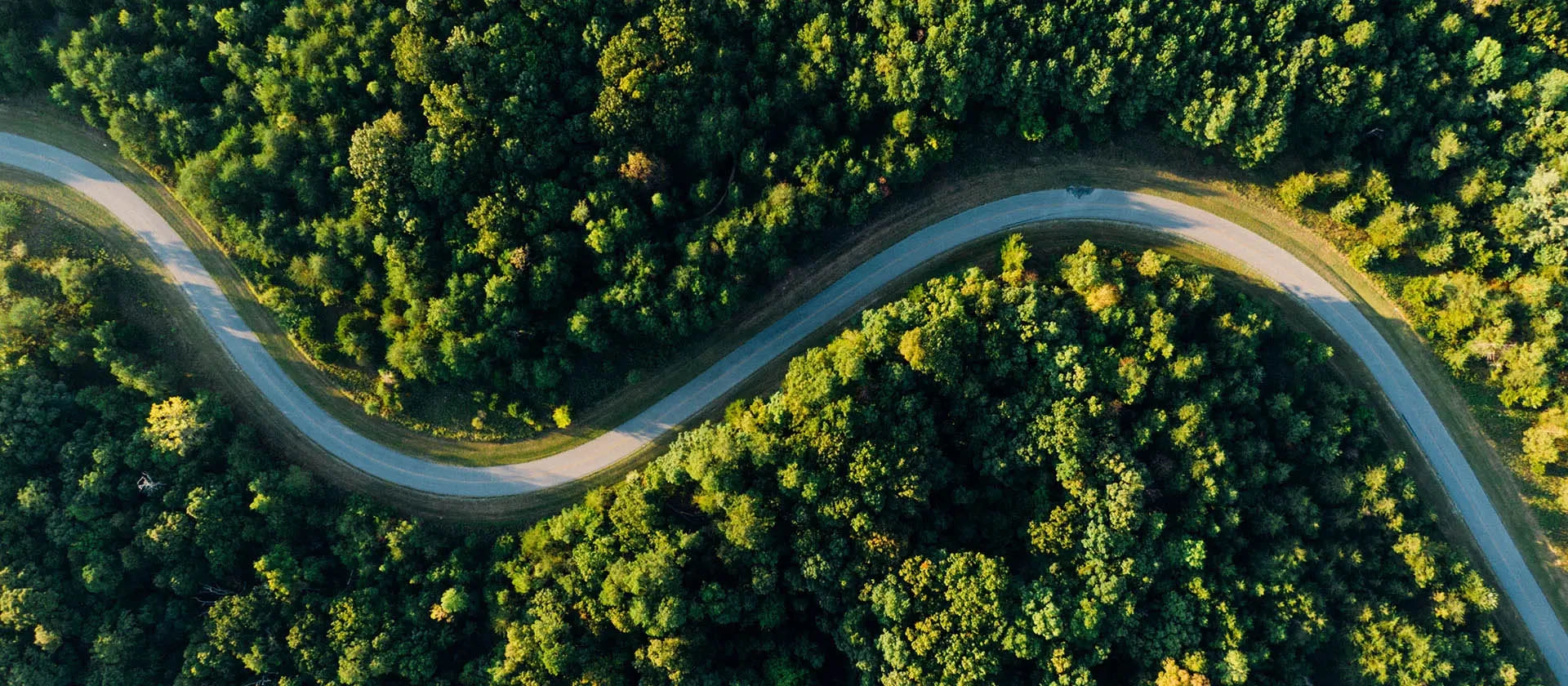 Total CO2 emissions saved