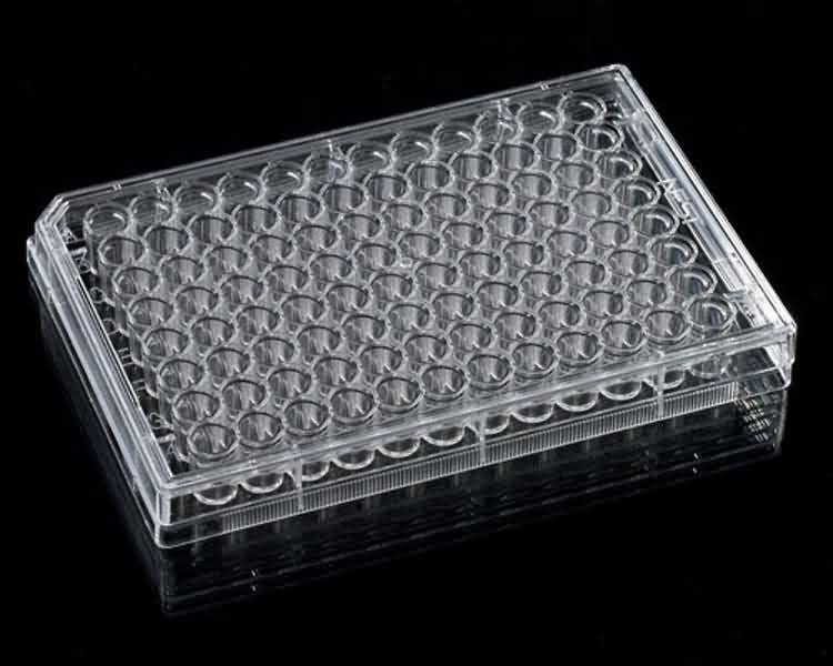 96 wells hot cell tissue culture plate