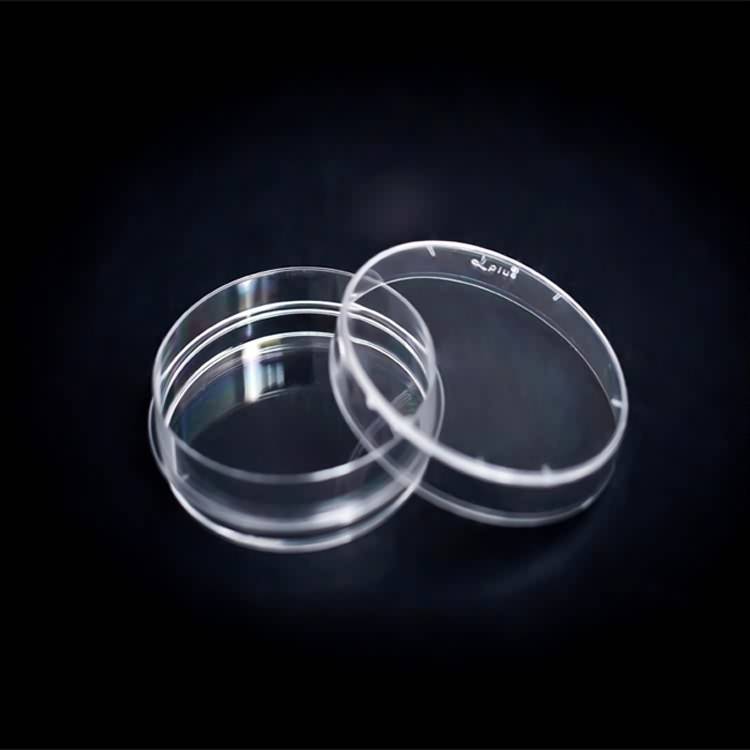 35mm Glass Dish Bottom, tường nhựa, kính hiển vi và phân tích hình ảnh đồng tiêu