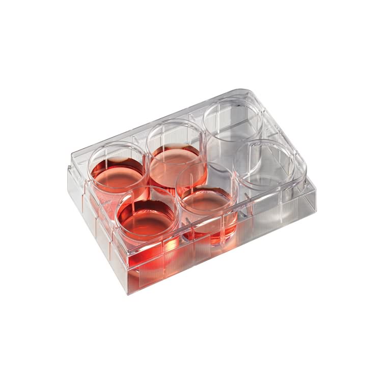 AMA 6 well cell culture plate (Advanced Carboxyl treated)