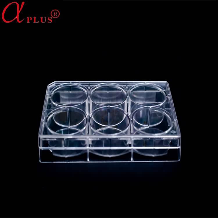 AMA lab consumable 6 well cell culture plate