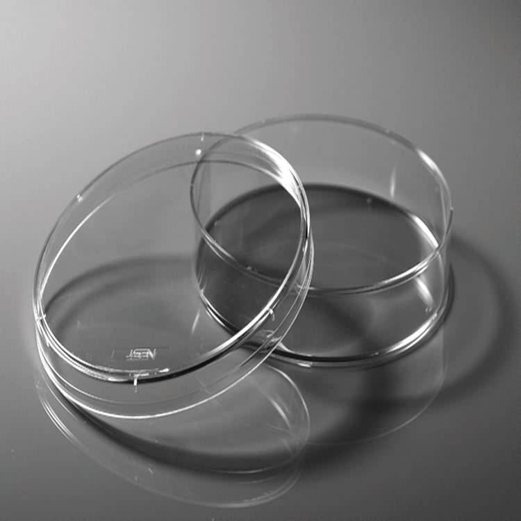AMA 35mm plastic petri dish for bacterial culture