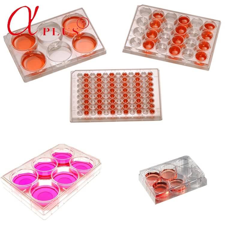 Reasonable price Laboratory Supplies 90*15 Petri Dish - Medical lab plastic disposable 24 well tissue cell culture plate – Ama