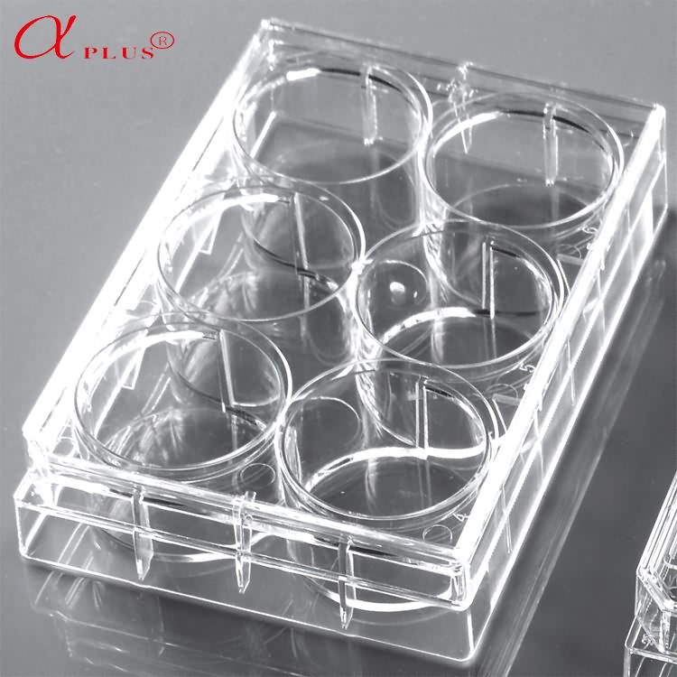 Competitive Price For Cell Culture Dishes - Lab plastic 96 wells cell tissue culture plate – Ama