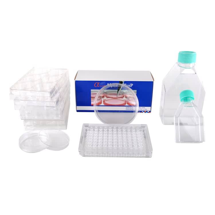 50ml 250ml rectangular canted neck laboratory plastic cell culture flask