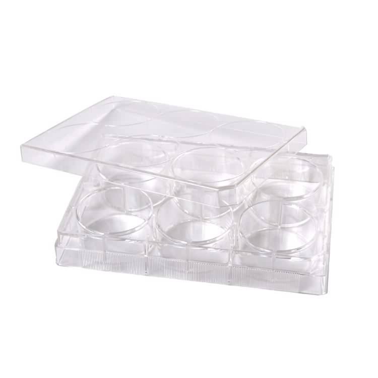 Medical lab plastic sterile 6 well cell tissue plate manufacturer