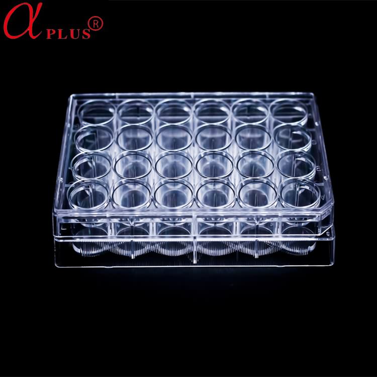 AMA plastic ps 24 well cell tissue culture plate