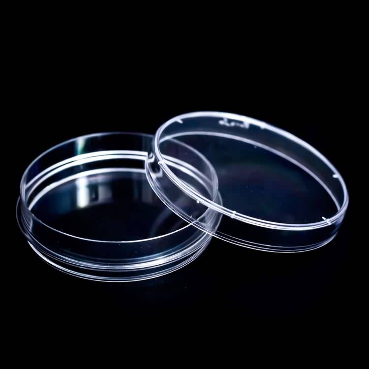 Shumicë transparent 35mm 60mm 90mm 100mm 120mm 150mm qelizë kultura Petri pjatë laboratorike indeve disponueshme Dishs kultura qelizore