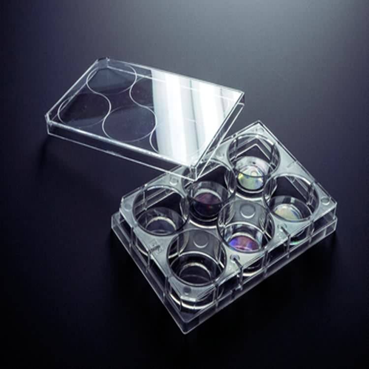 Medical lab plastic disposable akpali mmasị 6 olulu cell omenala efere