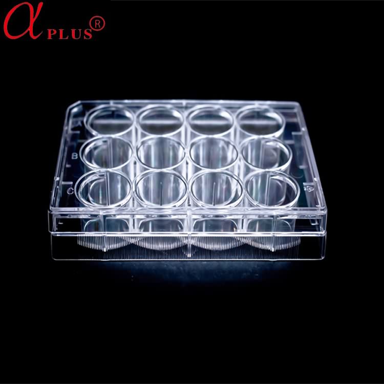 Lab 48 wells plastic disposable sterile tissue cell culture plates