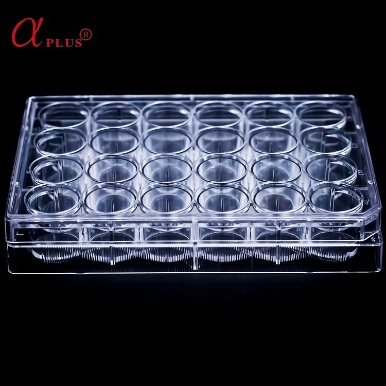 Medical lab plastic 24 wells disposable sterile cell culture plate