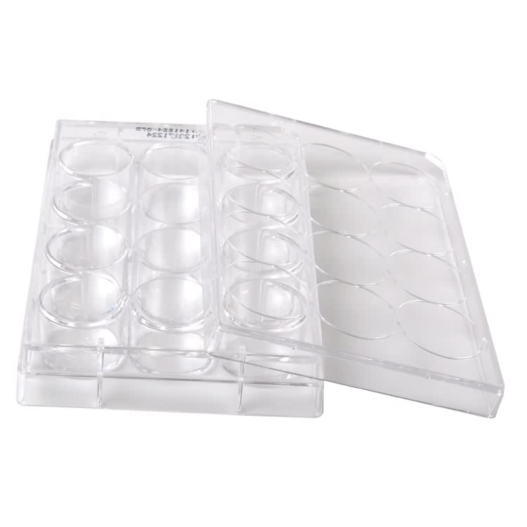 plástico laboratorio médico fabricante tarxeta de tecido de células de 12 pozos estéril