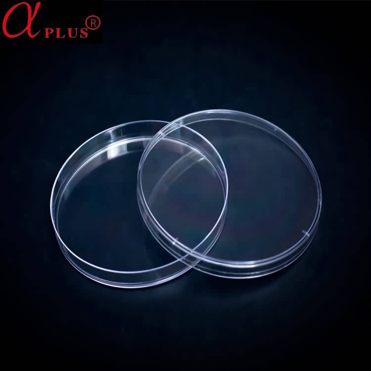 ISO & CE phê duyệt nhựa dùng một lần hoặc 150mm kính đĩa petri