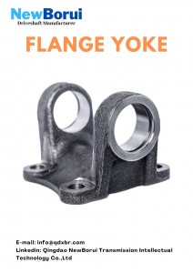 Flange Yoke Bearing Plate Series