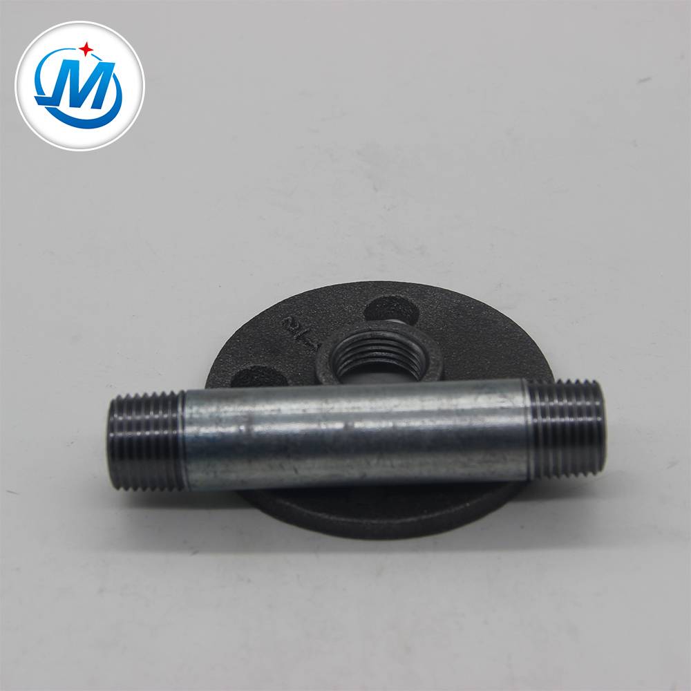 Astm A733 Carbon Steel Pipe Nipple Fitting
