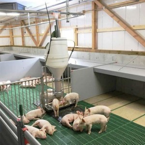 Chinese wholesale Automatic Hog Feeder - Wet single feeder  – RATO