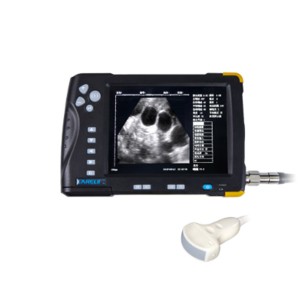 Top Suppliers Sembag - Veterinary ultrasound scanner CD66V – RATO