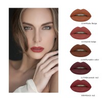 5 Colors Waterproof Liquid Lipstick Set Long-lasting Nude Colors Lip gloss Set Lip Glaze SetPrivate Label Custom Logo OEM