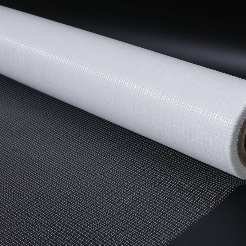 China Supplier Aluminum Foam Insulation -
 Non-woven laid scrims 2*2 ENDS-10MM (5×5 MM) – Ruifiber