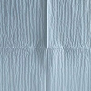 Laid Scrim mesh reinforce paper towel for industrial use