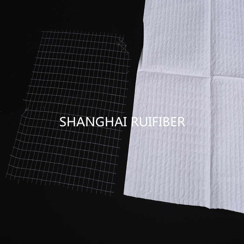 China OEM Fiberglass Laid Scrims Fabric For Non-Wovens -
 Polyester mesh fabric Laid Scrim for medical Absorbent Towel – Ruifiber