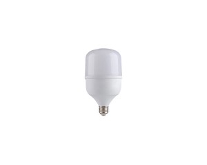 LED-LAMP 20W