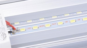 LED fluorescencinė šviesa-aliuminis