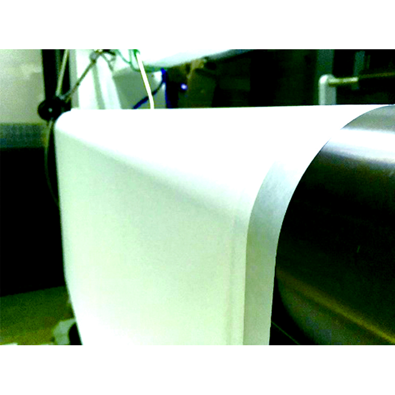Bottom price Free Sample Ro Membrane - RO Flat Sheet – HID Membrane