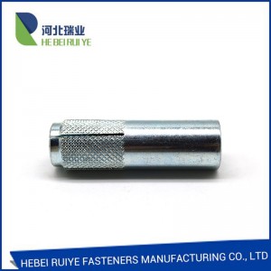 Popular Design for China M6 M8 M10 M12 M14 M16 M18 A2 A4 Galvanized Nickel Coated Scale Knurled Eye Hook Scale Stainless Steel Drop in Wedge Sleeve Anchor