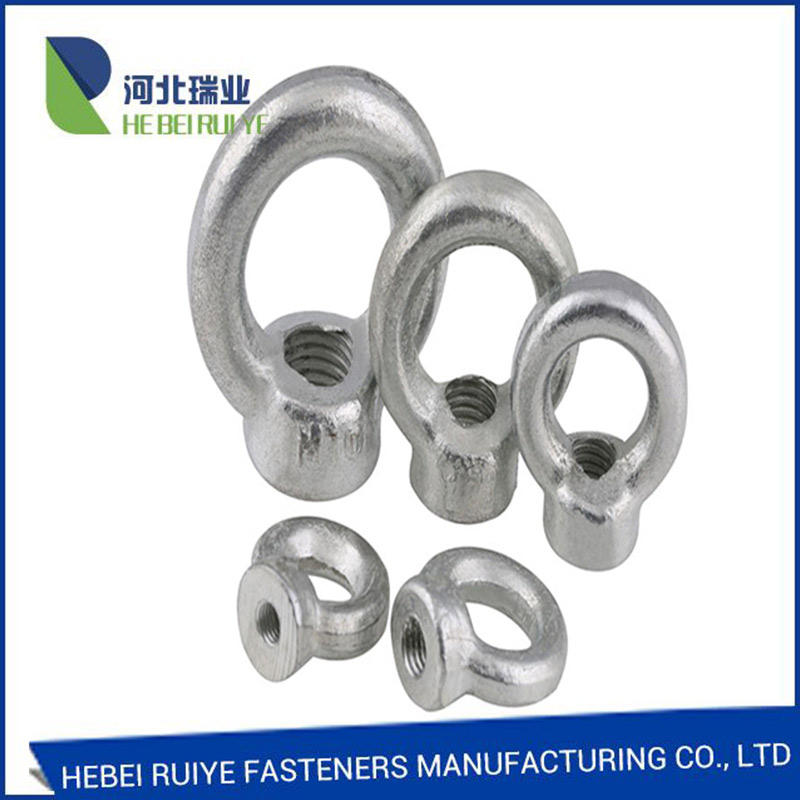 Factory For Din6334 Hexagon Coupling Nut - Galvanized Surface Carbon Steel Material Drop Forged Eye Nut DIN582 – Ruiye