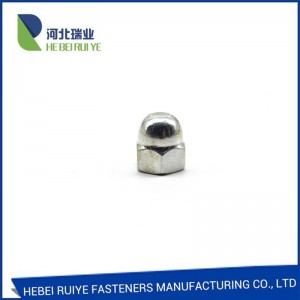 Massive Selection for Hammer Head Weld Nut - China manufacturer Factory price hexagon cap nuts/Wing Nut  DIN1587  – Ruiye