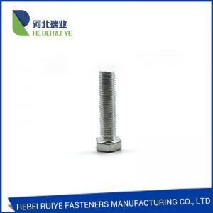 China Wholesale Metal Frame Anchor Suppliers - DIN 933/931 Galvanized Hex Bolt  – Ruiye