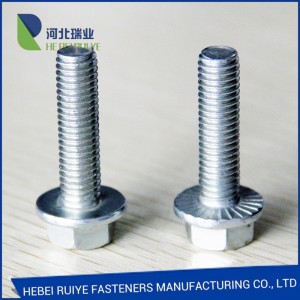 Supply ODM China Hex Flange Serration Anti-Slip Bolt/ Stainless Steel A2-70 Bolt/Custom Bolt