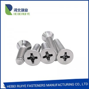 Manufactur standard China Stainless Steel/4.8/8.8/10.9 Galvanized Phillips Head Screws for Building Bridgerailway Machine