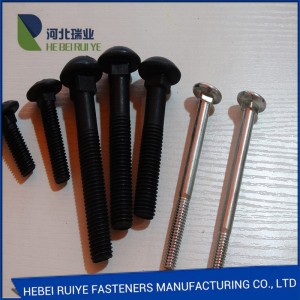 Hot Sale for China DIN603 Ss304 Ss316 Mushroom Head Square Neck Carriage Bolt