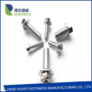 Good Quality China M8 Stainless Steel Hex Head Flange Bolt