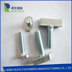 OEM/ODM Supplier Fasteners : hot forged track Bolt of T shape with nut and washer