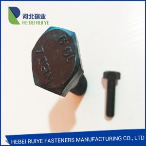 China Wholesale Din 931 Hex Bolts Manufacturers - High Tensile Bolt  – Ruiye