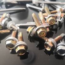 Hot-Sale New Brand Self Drilling Screw in May and June