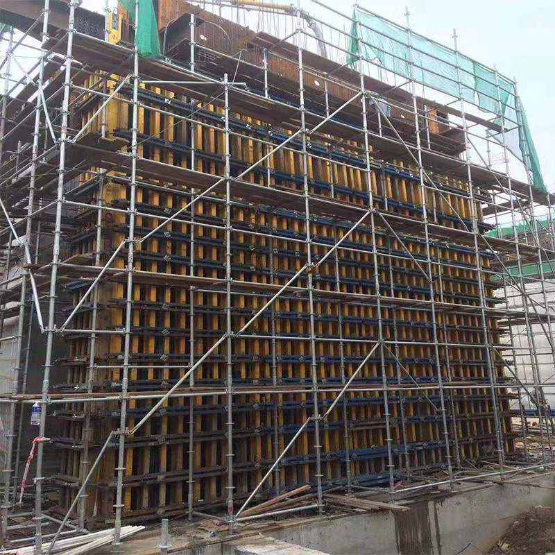 Chinese Professional Concrete Forming Systems - H20 Timber beam formwork for wall – Sampmax detail pictures