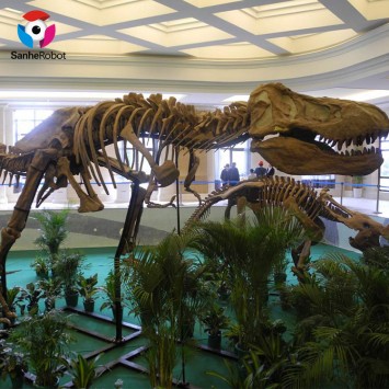 SH2-FF001 High quality large simulation fossil dinosaurs skeleton