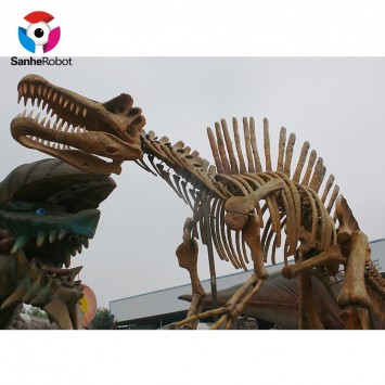 Dinosaur museum big size simulation dinosaur skeleton