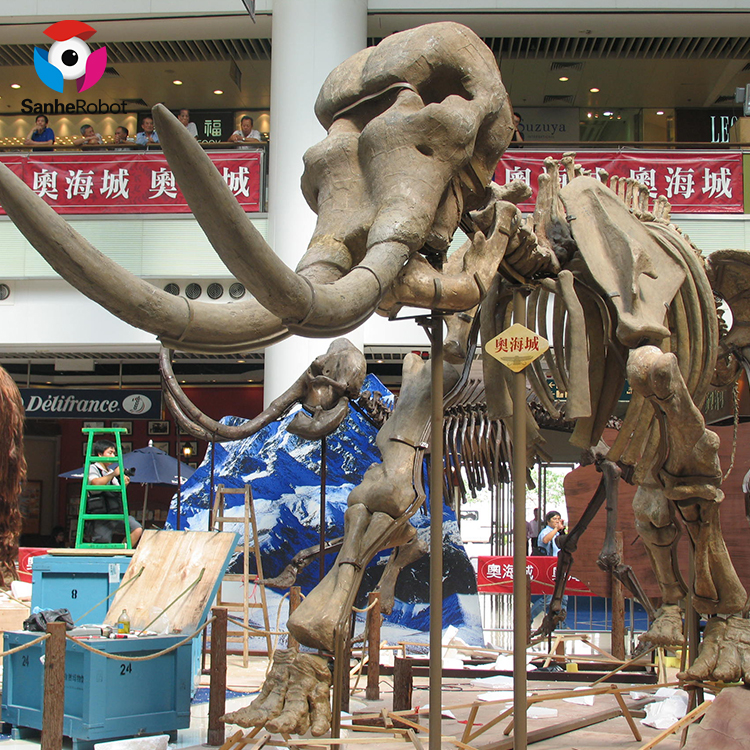 China Wholesale Homecoming Parade Float Ideas Factories Pricelist - SH2-FF001 High quality large simulation fossil dinosaurs skeleton  – Sanhe