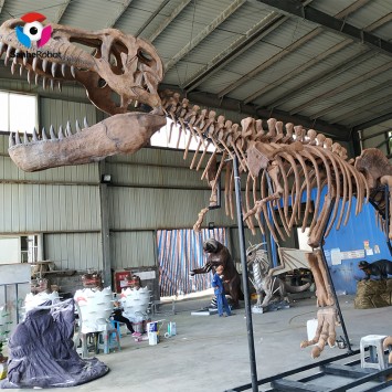 Life Size Artificial Fossil Dinosaur Skeleton Model